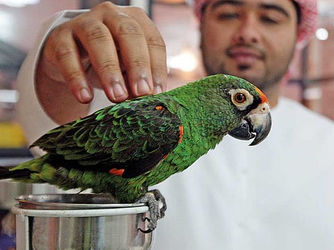 Ahmed Kutty/Gulf News Archives