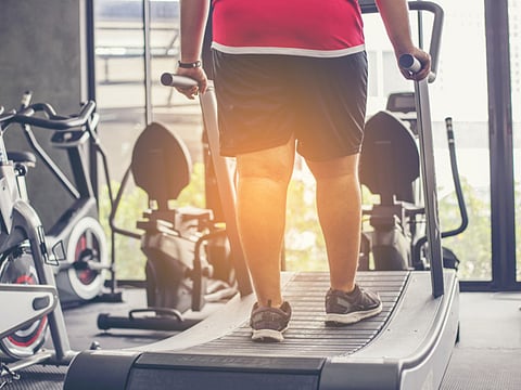 ‘Fat but Fit’? The controversy continues