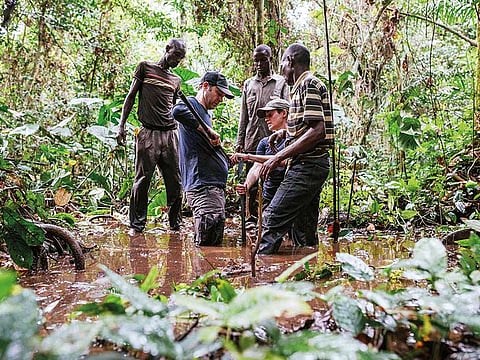 ©Kevin McElvaney/Greenpeace