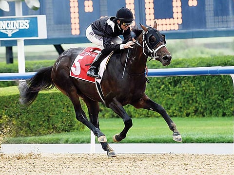 Virendra Saklani/Gulf News Archives