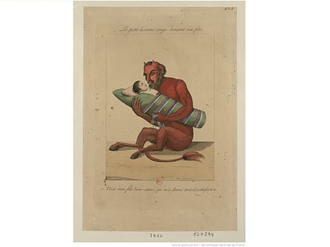 Bibliotheque Nationale de France