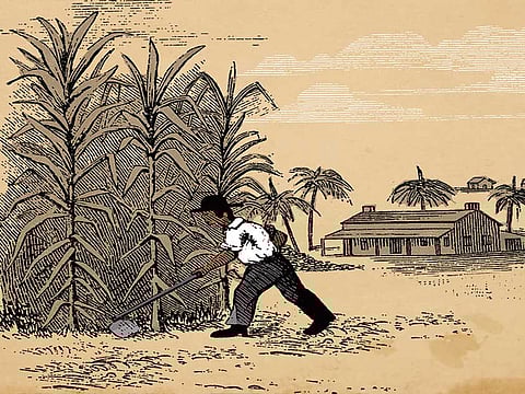 Luis Vazquez/Gulf News