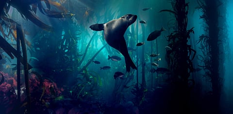 Photography copyright BBC/Lisa L