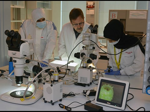 Courtesy: Dubai Police