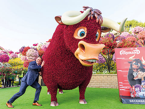 Courtesy: Vox Cinemas