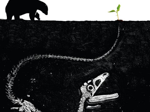 We don’t need to save endangered species. Extinction is part of evolution