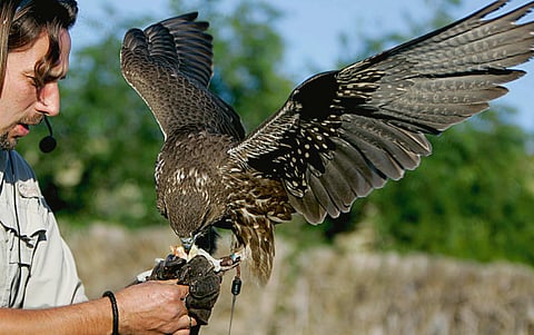 A.K. Kallouche/Gulf News archives