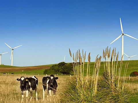 Shell, which aims to achieve net-zero emissions by 2050, has been trying to expand its wind business as it pivots to renewable energy after more than a century of pumping oil.