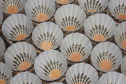 Nilima Pathak/Gulf News