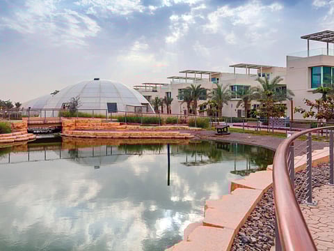 Sustainable cities or apocalyptic future?