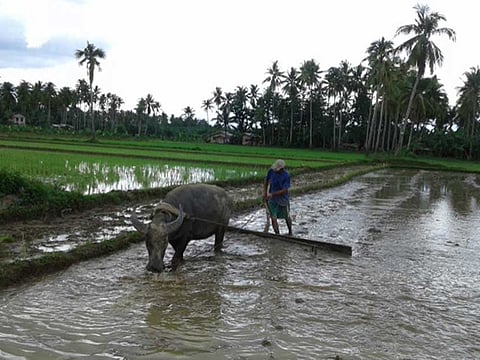 Don Bosco Multi-Purpose Cooperative