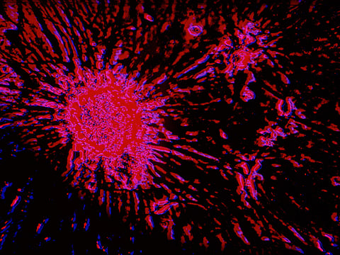 Dispensing the right mix of hope and reality