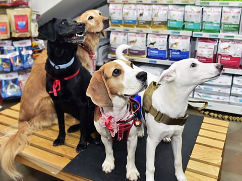 XPRESS /Clint Egbert