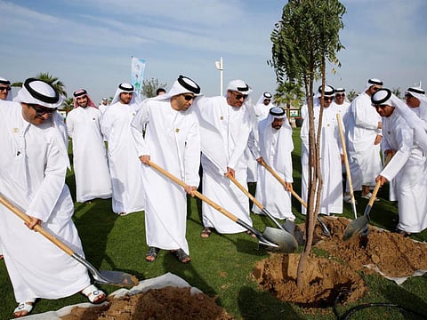 Courtesy Dubai Municipality