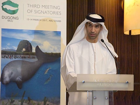UAE’s ‘Dugong diplomacy’ helps improve fish stocks in 40 nations