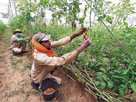 Abdul Rahman/Gulf News Archives