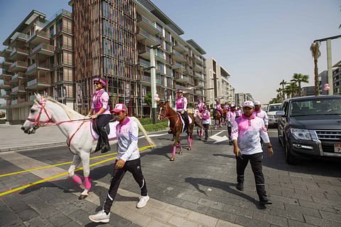 Breast cancer survivors share their stories