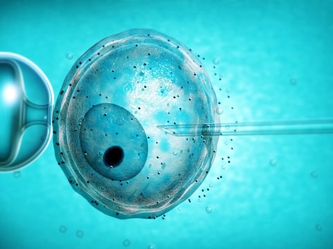 Can you really put motherhood on ice?