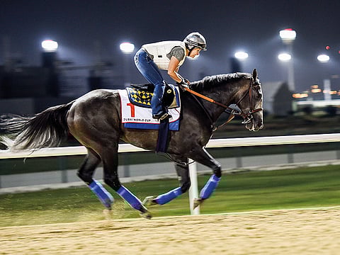 Virendra Saklani/Gulf News