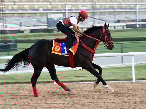 Virendra Saklani/Gulf News