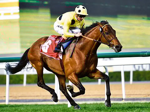 Virendra Saklani/Gulf News