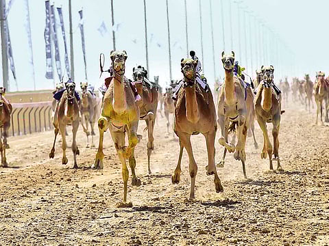 Virendra Saklani/Gulf News