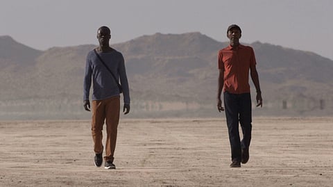 Video works address limits of perception