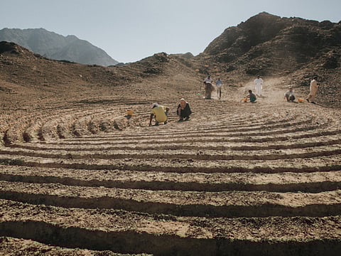 A tribute to the beauty of nature