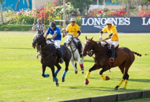 Things to do in UAE on April 21