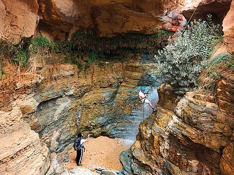 Alice Su/Washington Post