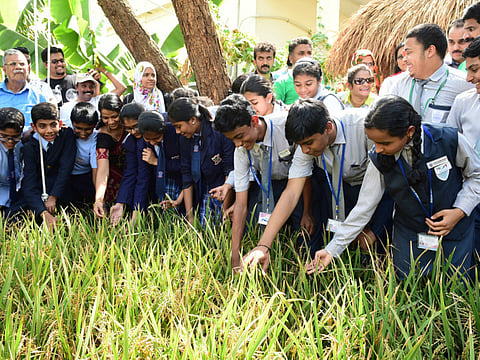 Arshad Ali/Gulf News