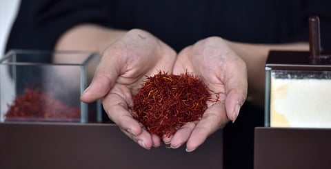 Ahmed Kutty/Gulf News