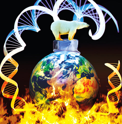 Climate change impacting most species on Earth, even down to their genome