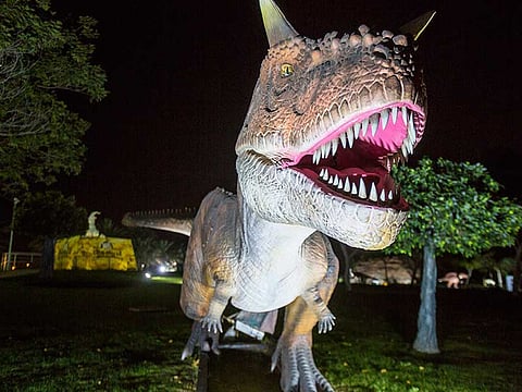 Aiza Castillo-Domingo/Gulf News