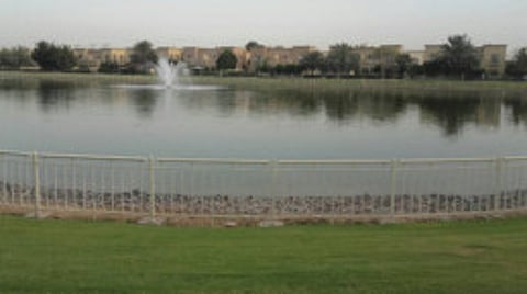 Watch your children and pets