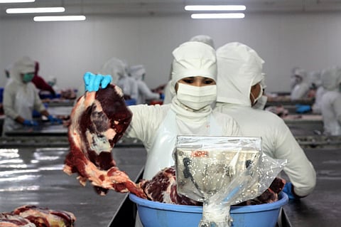 India’s beef exports hit by cow vigilantism