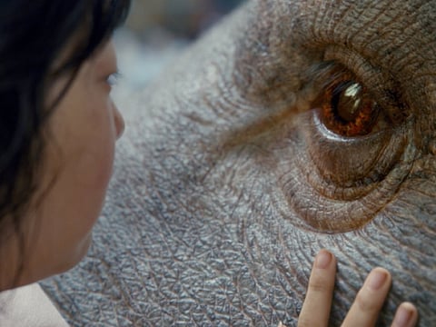 Why Netflix is such a hot button topic at Cannes