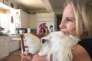 Barbra Streisand’s dog dies, was her companion for 14 years