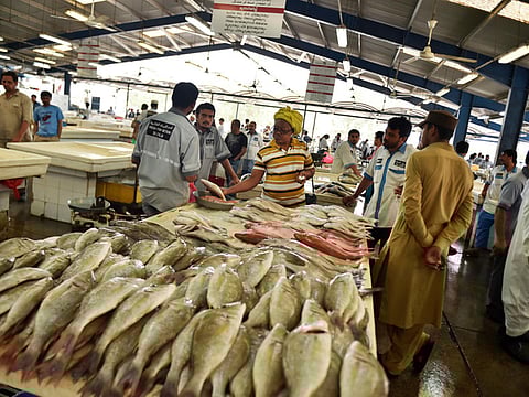 Clint Egbert/Gulf News archives