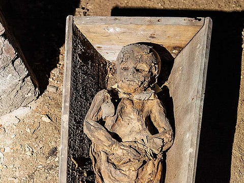 Kiril Cachovski of the Lithuanian Mummy Project, 2015