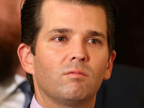 US President Donald Trump's son, Donald Trump Jr.