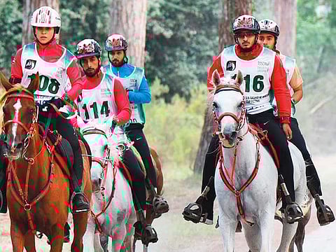 Dubai Equestrian Club