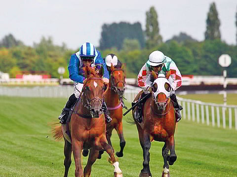 Debbie Burt Creative Media