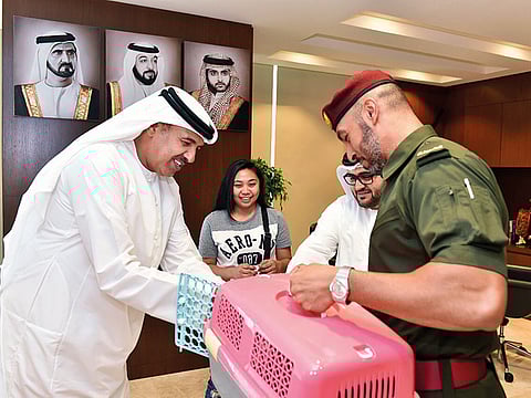 Courtesy: Dubai Civil Defence