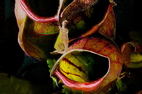 For The Washington Post