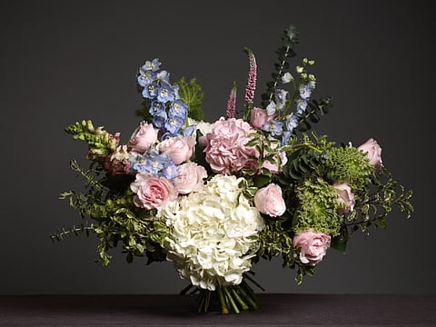 Design Diary: How to make it bloom in the desert