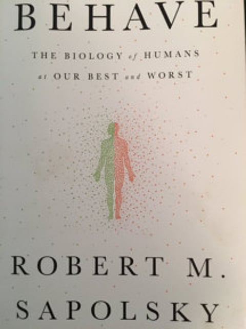 Why do we do what we do?