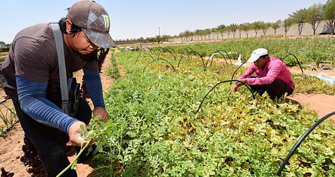 Atiq ur Rehman/Gulf News Archive