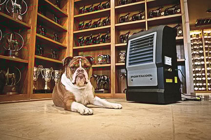 Vets warn pet owners as heat index hits 66°C