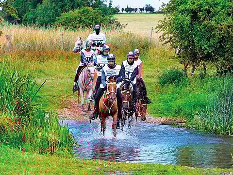 Dubai Equestrian Club